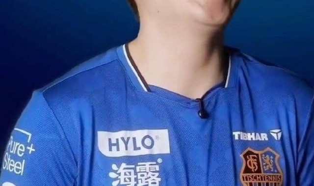 队友起外号！樊振东让小镇搜索量暴增10倍，在德甲官方海报C位