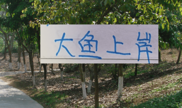 去年中超前5大鱼都上岸 北京国安是德甲大货 海港是本土标王